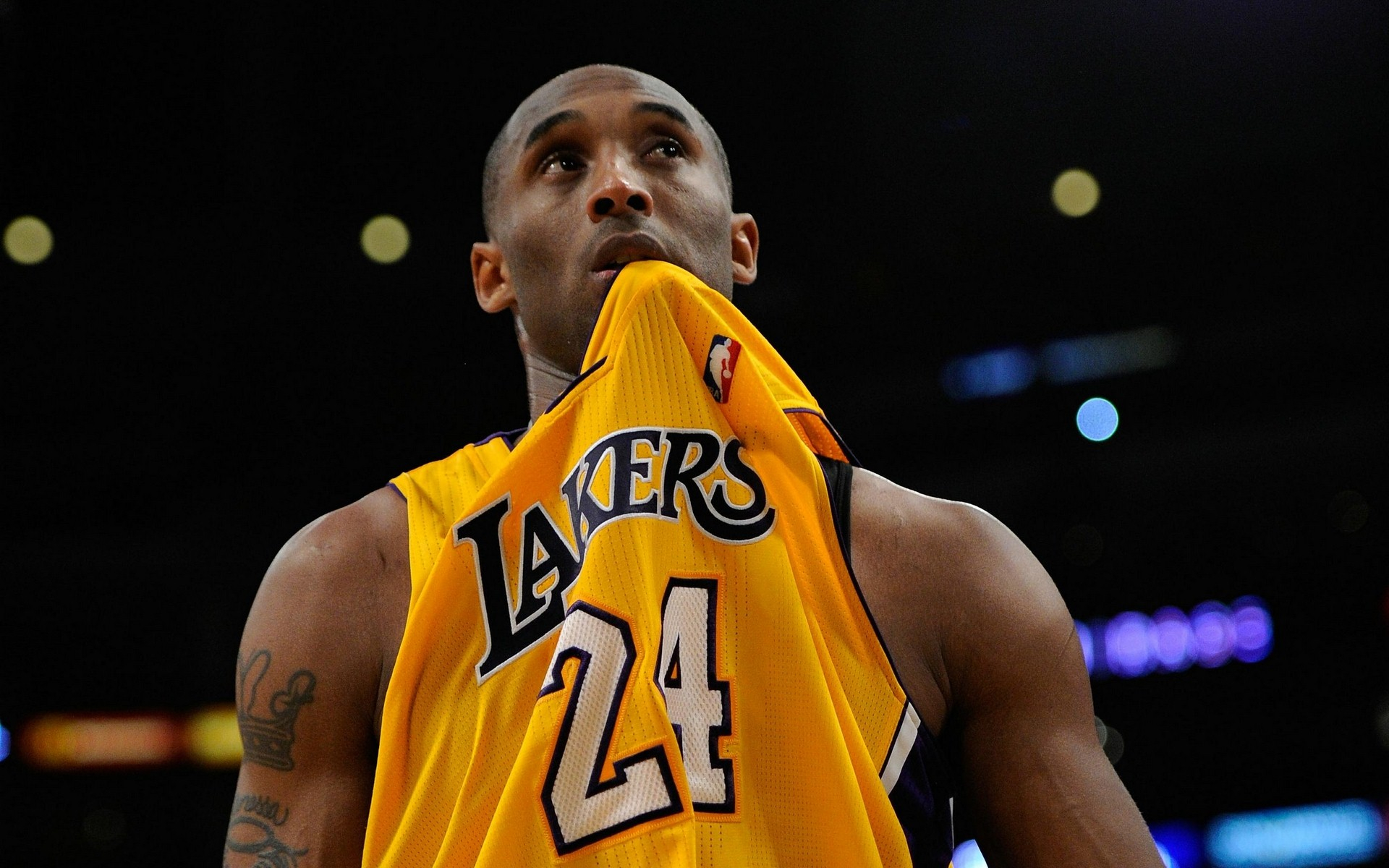 护他们的成 护他们的成