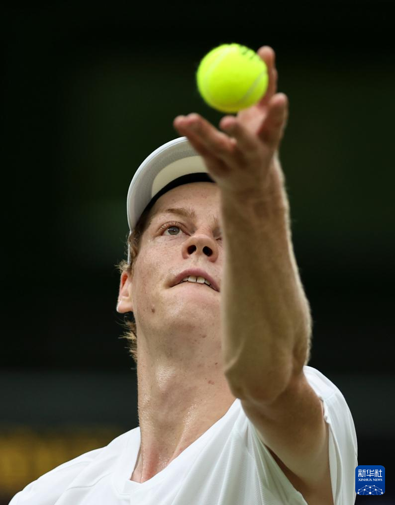 这套系统可 这套系统可